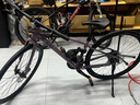 LivAlight 2 DD Disc女士平把16速輕便休閑通勤公路自行車(chē) 紫灰色 700C×370MM XS 建議148-163cm 曬單實(shí)拍圖