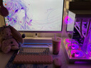華碩天選RTX5070/5060Ti/5060顯卡i514600KF組裝電腦游戲主機DIY臺式整機天選姬mod定制白色顏值海景房 i7 14700KF+華碩TX5060Ti 配置七 曬單實(shí)拍圖