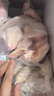 上鮮 雞翅中 凈重4斤 冷凍 出口級 雞翅膀雞中翅雞肉烤雞翅 清真食品 曬單實(shí)拍圖