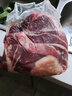 羊門宴 谷飼黃牛肉 新鮮牛腩4斤 整塊牛肉生鮮原切牛腩塊 清真 源頭直發(fā) 曬單實(shí)拍圖