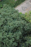佳能rf85f2 全畫(huà)幅專(zhuān)業(yè)微單定焦鏡頭適用R5 R6 RF85mm F2 MACRO IS STM 標(biāo)配 曬單實(shí)拍圖