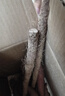 京鮮生 河南焦作溫縣壚土鐵棍山藥凈重5斤 單根40cm+ 蔬菜 源頭直發(fā) 曬單實(shí)拍圖
