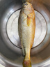 海名威 冷凍黃花魚700g/2條 寧德大黃魚地標 海鮮水產(chǎn) 生鮮魚類  曬單實拍圖