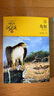 動(dòng)物小說(shuō)大王沈石溪品藏書(shū)系新版：狼王夢(mèng)雪豹悲歌鳥(niǎo)奴第七條獵狗斑羚飛渡最后一頭戰象等（黃綠特輯套裝共12冊）小學(xué)生三四五六年級課外兒童文學(xué)書(shū) 課外閱讀 閱讀 課外書(shū)省錢(qián)卡 曬單實(shí)拍圖