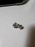 銀千惠999純銀雪花耳釘女士高級感耳環(huán)耳飾品情人節生日禮物送女友老婆2 999足銀雪花耳釘/可旋轉+七倉配送/當次日達 小眾輕奢耳釘/配首飾證書(shū)/情人節女生禮物 曬單實(shí)拍圖