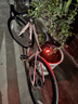 鹿珊伍自行車(chē)燈公路車(chē)愛(ài)心尾燈夜騎后尾燈充電山地車(chē)燈騎行警示燈小配飾 心型尾燈-紅色款 曬單實(shí)拍圖