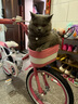 優(yōu)貝（RoyalBaby）兒童自行車(chē)女孩單車(chē)腳踏車(chē)5-9歲帶輔助輪珍妮公主18寸 曬單實(shí)拍圖