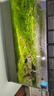 尼特利二代水草泥魚缸專用水藻泥生態(tài)草缸底砂營養(yǎng)土3L/袋 曬單實(shí)拍圖