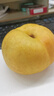 正陽(yáng)樓 中華老字號五香熏兔580g*1袋裝熟食熏醬哈爾濱東北特產(chǎn)下酒菜 曬單實(shí)拍圖