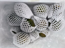 順豐丹東草莓柿子5斤西紅柿新鮮自然熟鐵皮柿子堿地生吃水果番茄 3斤 超值裝  順豐 曬單實(shí)拍圖