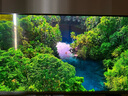 飛利浦EVNIA 31.5英寸4K240Hz QD-OLED動(dòng)態(tài)冷卻 原生10bit 0.03ms 音響 O8電競(jìng)顯示器 國(guó)家補(bǔ)貼32M2N8800 曬單實(shí)拍圖