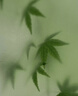 SPACEXPERT塑料收納箱特大號儲物箱學(xué)生書(shū)箱兒童玩具整理搬家打包周轉箱 藍色 【實(shí)測盛水容積60L】單只裝 曬單實(shí)拍圖