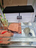尼奧光魚(yú)缸燈水草燈LED燈S3proRGB植物光譜 13W新款尼奧S3pro+【高亮自然版雙倍亮度】 曬單實(shí)拍圖
