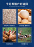 骨粉雞飼料貝殼粉雞補(bǔ)鈣蠔殼粉鈣粉雞鴨鵝飼料補(bǔ)鈣壯骨專用牡蠣粉 1-2mm小顆粒（10斤） 曬單實(shí)拍圖