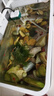 闊庭（KUOTING）闊庭魚缸懶人魚缸家用客廳辦公室水培吊籃金魚缸過濾魚缸白色款 曬單實拍圖