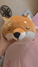 名創(chuàng  )優(yōu)品（MINISO）柴犬系列毛絨公仔趴姿玩具娃娃抱枕睡覺(jué)室內臥室辦公室生日禮物 曬單實(shí)拍圖