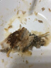 GUO LIAN國聯(lián)水產(chǎn) 三去羅非魚6條/4.2斤凈重 非洲鯽魚紅燒魚食材源頭直發(fā) 曬單實拍圖
