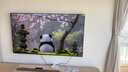 長(cháng)虹熊貓TV 75D7H Pro 75英寸 MiniLED 0貼墻壁畫(huà)電視 288Hz高刷新4K智能AI平板液晶電視機 國家補貼 曬單實(shí)拍圖