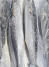 賣(mài)魚(yú)七郎 青島海捕大鲅魚(yú)整條凈重5斤（5-8條）馬鮫魚(yú)海鮮生鮮魚(yú)類(lèi) 曬單實(shí)拍圖