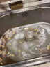 譙清溢管道疏通劑強(qiáng)力溶解廚房下水道油污堵塞去除小飛蟲(chóng)專用殺蟲(chóng)500ml 曬單實(shí)拍圖