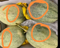 京鮮生 網(wǎng)紋蜜瓜 4-6粒裝 凈重10斤起 生鮮水果禮盒 曬單實(shí)拍圖