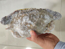 舟山梭子蟹鮮活特大野生大螃蟹新鮮冷凍海鮮水產(chǎn)海蟹飛蟹白蟹順豐 9兩以上/只【5斤凈重 超大肥美】 曬單實(shí)拍圖