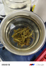 西湖牌2025新茶上市春茶綠茶 明前特級龍井茶葉罐裝50g 自飲送禮 曬單實拍圖