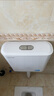LESSO聯(lián)塑沖水箱家用衛(wèi)生間大沖力廁所抽水馬桶輕音壁掛式12升沖水箱2156 曬單實(shí)拍圖