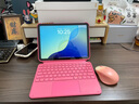 Apple/蘋果 iPad 11英寸 A16芯片2025年款 平板電腦 (256GB WLAN版/學(xué)習(xí)辦公娛樂)粉色 曬單實(shí)拍圖