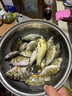 釣魚(yú)王地獄貓打窩顆粒含昆蟲(chóng)蛋白魚(yú)餌鯽魚(yú)鯉魚(yú)草魚(yú)野釣打窩料四季通用 2包地獄貓打窩顆粒4mm 曬單實(shí)拍圖