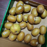 佳沛（zespri）x1號會(huì )員店聯(lián)名款陽(yáng)光金奇異果20粒禮盒單果約146-175g水果獼猴桃 曬單實(shí)拍圖