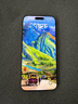 Apple/蘋果 iPhone 16 Pro Max 256GB 原色鈦金屬 支持移動(dòng)聯(lián)通電信5G 手機(jī)【返移動(dòng)話費(fèi)券】 曬單實(shí)拍圖