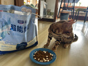 LEGENDSANDY藍氏超能奶盾全價(jià)鮮肉低溫烘焙乳酸菌幼成貓糧乳鴿1.8kg 曬單實(shí)拍圖