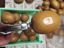 佳沛（zespri）新西蘭  陽光金奇異果18粒超大果原箱單果重約173-204g 獼猴桃 曬單實(shí)拍圖