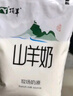 頂羊 山羊奶200ml*12袋小分子易吸收孕婦兒童成人早餐不同于牛奶送禮 曬單實拍圖