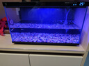 小米米家智能魚(yú)缸客廳小型造景生態(tài)家用背景超白玻璃桌面循環(huán)自動(dòng)喂食 小米智能魚(yú)缸（已接入米家APP） 曬單實(shí)拍圖