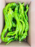 新鮮螺絲椒辣椒即食皮薄微辣特辣尖椒隴椒帶箱 1斤試吃裝1斤 曬單實拍圖