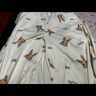 施貝柔月子服哺乳睡衣孕婦裝孕產(chǎn)婦家居服衣褲套裝可外出穿米色XXL 曬單實(shí)拍圖