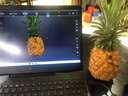 先臨三維3d掃描儀EinScan Pro 2X V2工業(yè)級高精度手持式三維掃描儀抄數機逆向建模測繪檢測 Pro 2X V2標準版 曬單實(shí)拍圖