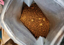 麥富迪 凍干貓糧 超肉粒凍干雙拼糧（凍干三文魚(yú)） 成貓糧10kg 曬單實(shí)拍圖