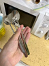 美廚（maxcook）304不銹鋼湯勺湯匙 分色勺子圓底餐勺飯勺湯勺 彩色3件套MCGC7308 曬單實拍圖