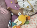 babycare米斯提鴨嬰兒掛件推車(chē)載玩偶毛絨玩具寶寶哄睡安撫床掛新生兒床鈴 曬單實(shí)拍圖