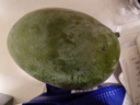 正宗凱特芒果 肉厚甜心芒熱帶當季新鮮水果整箱 帶箱2斤單果300g+ 曬單實(shí)拍圖
