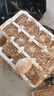 河南特產(chǎn)溏心變蛋雞蛋皮蛋農家手工無(wú)鉛松花蛋 雞蛋變蛋40g/枚 40g 12枚【活動(dòng)專(zhuān)享】 曬單實(shí)拍圖