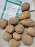 隴百味甘肅定西土豆2025年新挖粉糯面沙高山小洋芋鮮馬鈴薯定西特產(chǎn) 3兩起 5斤中果 曬單實拍圖