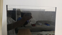 坤寧王魚缸背濾一體缸自循環(huán)免換水超白玻璃家用小型缸造景生態(tài)全自動(dòng)缸 曬單實(shí)拍圖