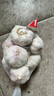 山東金鄉(xiāng)蒜大蒜出口標(biāo)準(zhǔn)精選大蒜頭蔬菜調(diào)料單果5cm 出口標(biāo)準(zhǔn)網(wǎng)兜裝箱 455g 5-5.5cm特大 曬單實(shí)拍圖