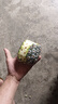 正宗海南金鉆鳳梨新鮮水果當季樹(shù)上熟芒果鳳梨【催熟食用】 1粒裝單果500g-650g【7成熟，催熟再吃】 曬單實(shí)拍圖
