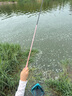臻佑（Grsaed）兒童魚竿套裝小孩初學(xué)專用釣魚竿釣蝦釣蟹釣小物竿1.5m小萌兔粉 曬單實(shí)拍圖