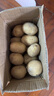 恩施小土豆新鮮馬鈴薯農(nóng)家黃心洋芋現(xiàn)挖蔬菜馬鈴薯 5斤 大果 鵝蛋大小左右 曬單實(shí)拍圖